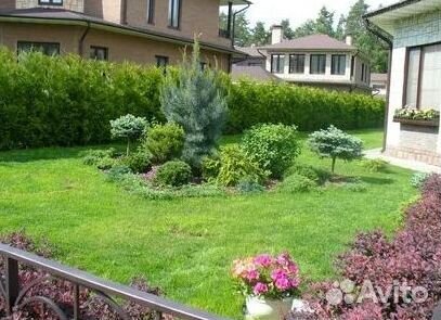 Рулонный газон