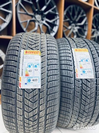 Pirelli Scorpion Winter 275/35 R22 и 315/30 R22