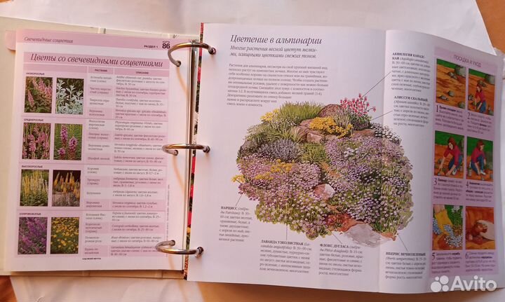 Сад моей мечты. Энциклопедия