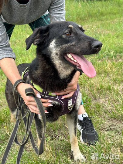 Очаровательная Хади ищет семью