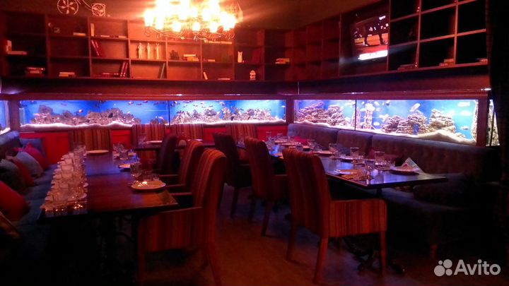 Аквариумы, готовые и на заказ, любые размеры