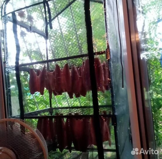 Сушилка теплица