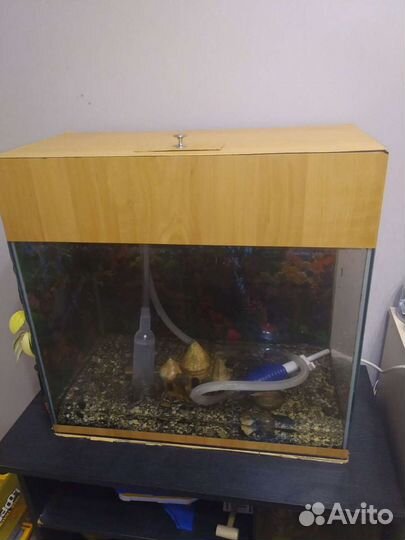 Аквариум