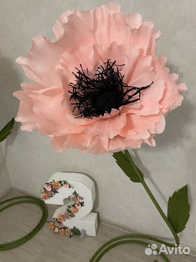 Фотозона, декор, ростовые цветы