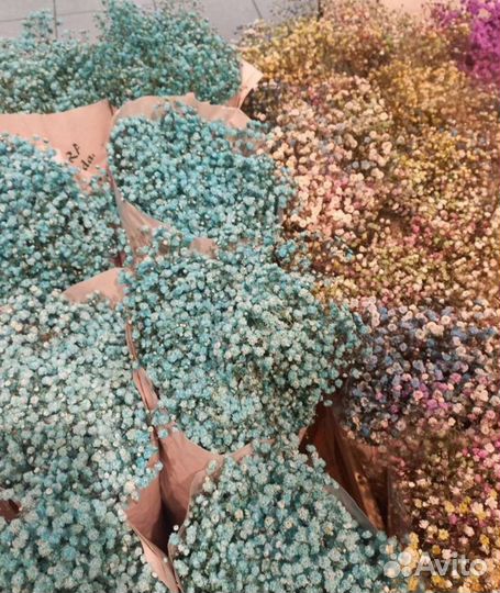 Гипсофила, букет из гипсофил, доставка цветов