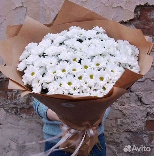 Хризантема