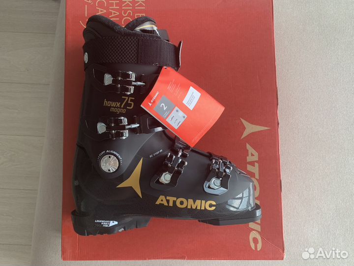 Горнолыжные ботинки Atomic, шлемы и маски Alpina