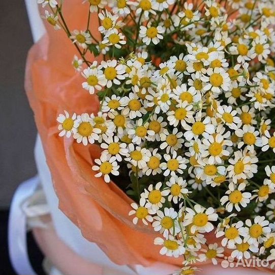 Цветы ромашки. Букеты ромашек. Цветы доставка