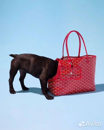 Сумка Goyard переноска для собак