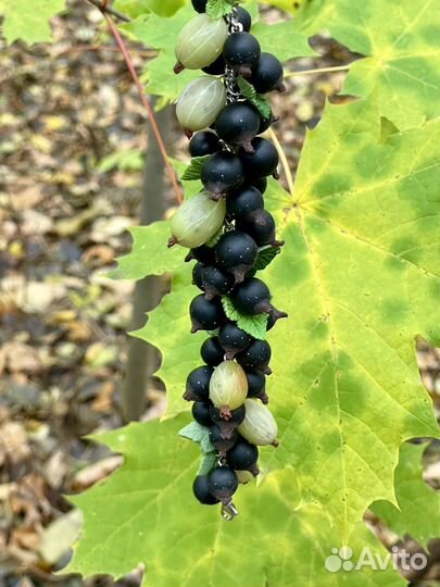 Украшения ручной работы