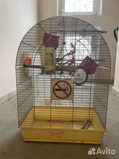 Клетка для попугая корелла
