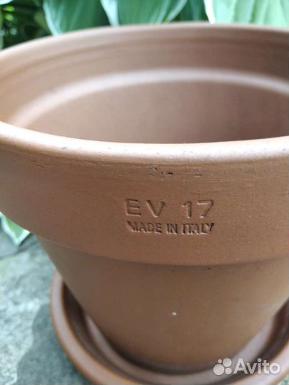 Цветочные горшки