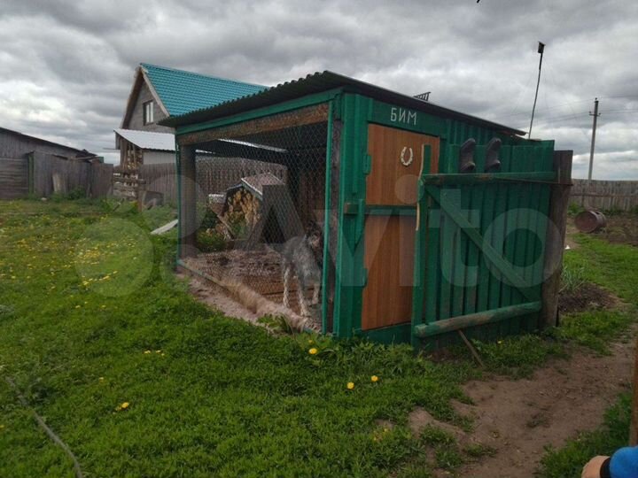 Дом 36 м² на участке 35 сот.