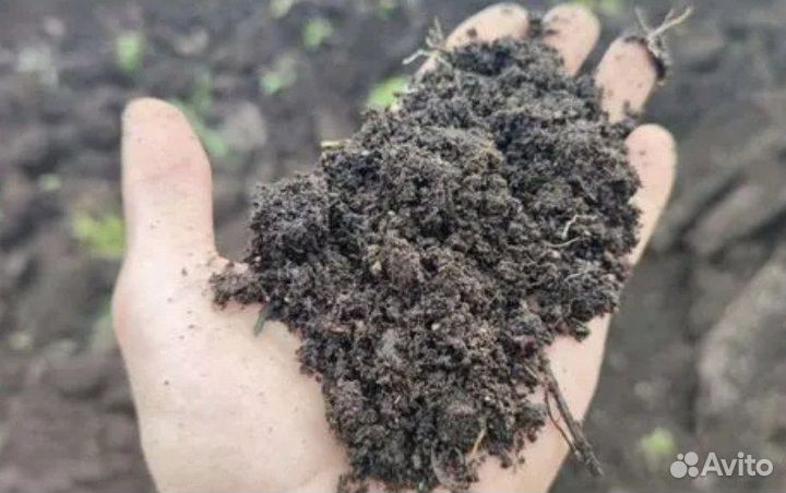 Чернозем Земля плодородная