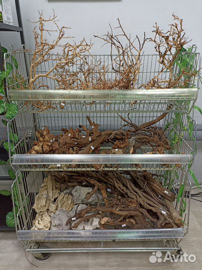 Коряги для террариума и аквариума