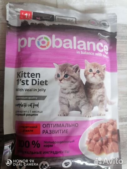 Влажный корм для кошек