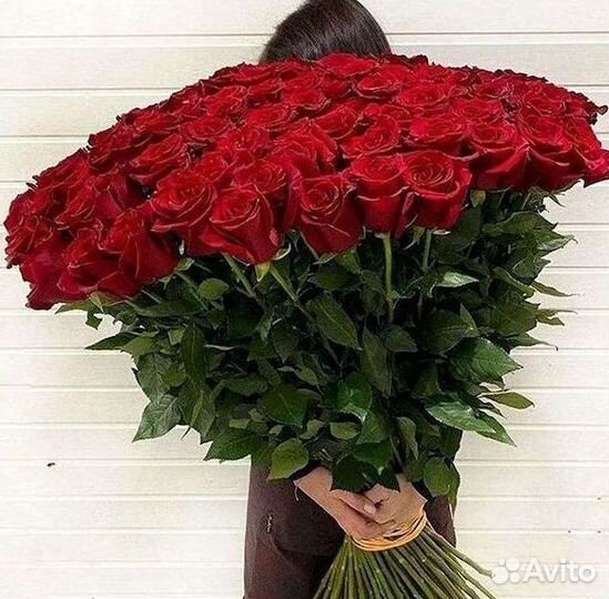 Высокие Розы с Доставкой