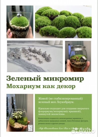 Флорариум, мохариум