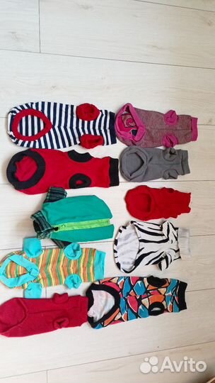 Одежда для собак и кошек