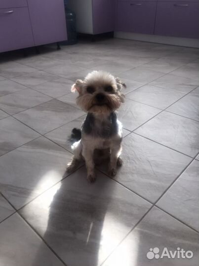 Йорк для вязки