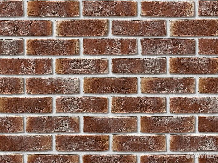 Leonardo Stone Дижон 330