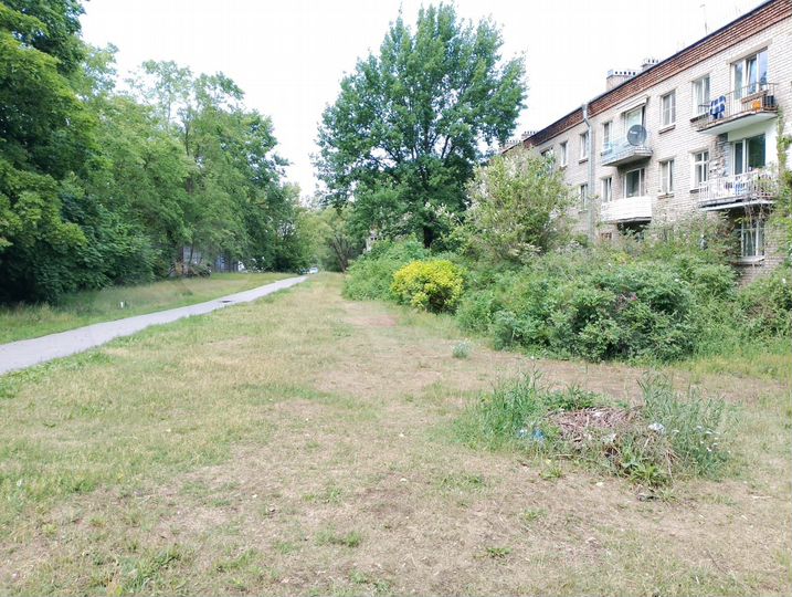 3-к. квартира, 53,9 м², 1/3 эт.