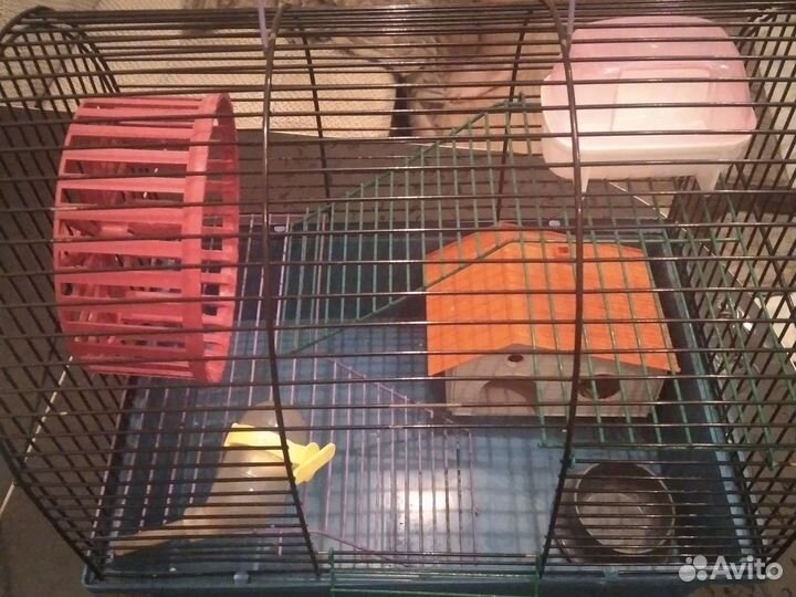 Клетка для грызунов