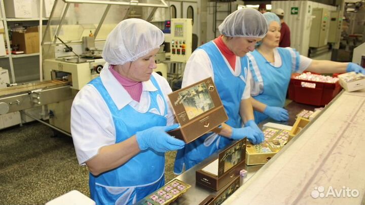 Упаковщик конфет сидя с питанием и проживанием Мск