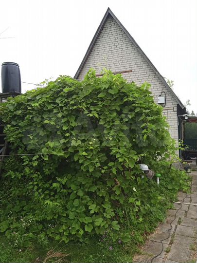 Дача 33,4 м² на участке 12 сот.