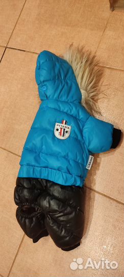 Одежда для собак