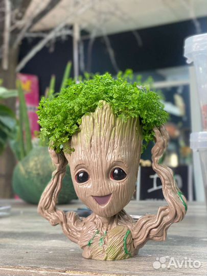 Требуются флористы