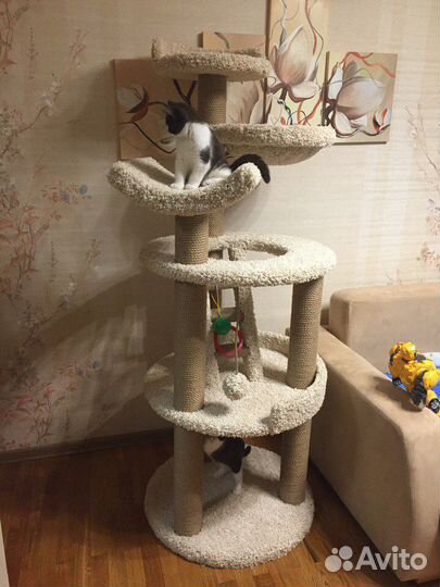 Домики для кошек, игровые комплексы, когтеточки