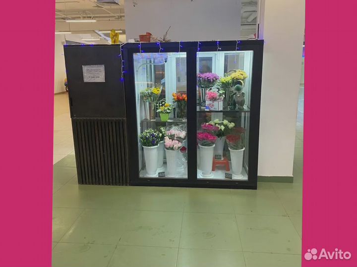 Холодильная камера для цветов — сервис под ключ