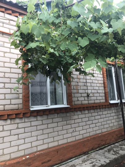 Дом 100 м² на участке 16,5 сот.