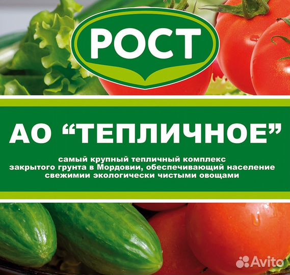 Овощевод