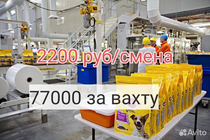 Вахта упаковка кормов на линию /жилье и питание