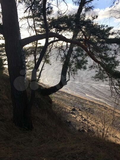 Участок 12 сот. (ИЖС)