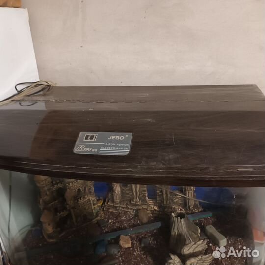 Аквариум террариум