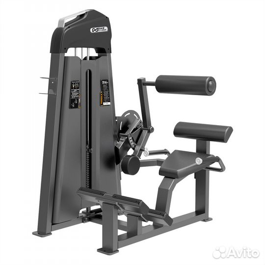 E-3031 Разгибание спины (Back Extension). Стек 10