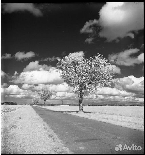 Фотопленка чб Rollei Retro 400S