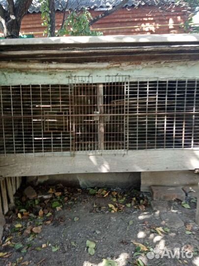 Клетка для кролика