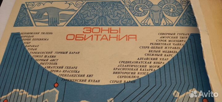 Коллекционный набор спичек 