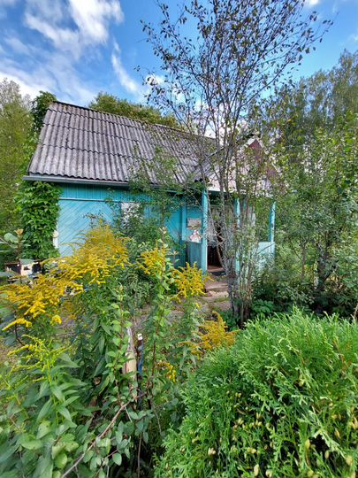 Дача 20 м² на участке 3,2 сот.