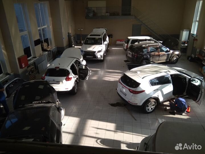 Требуется ученик