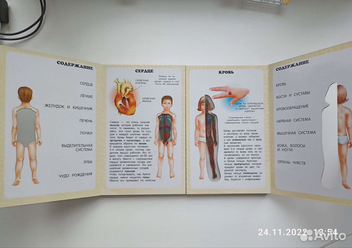 Атлас Тело человека