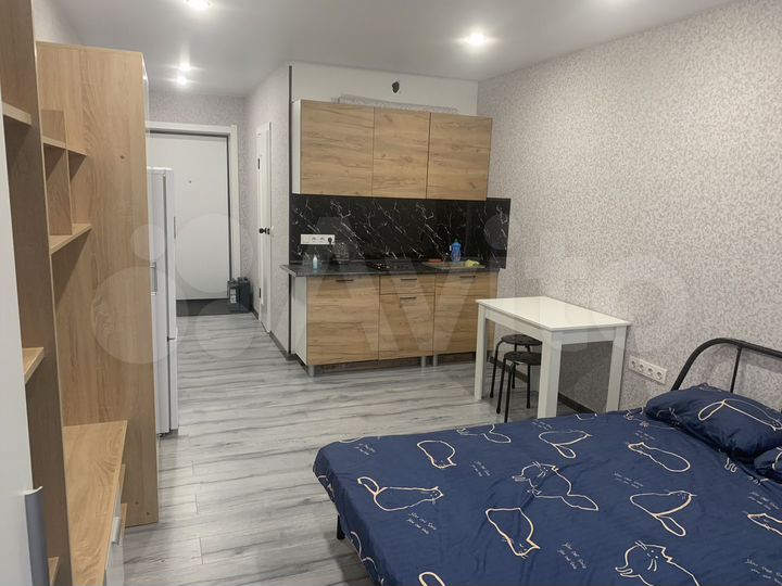 Квартира-студия, 26 м², 1/25 эт.