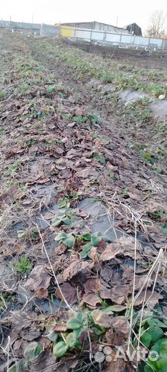 Щетка насадка на бензотриммер