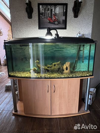 Аквариум