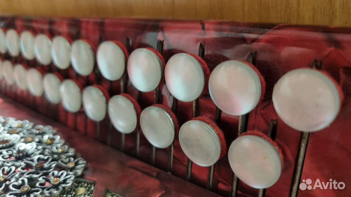 Гармонь Любительская соль мажор