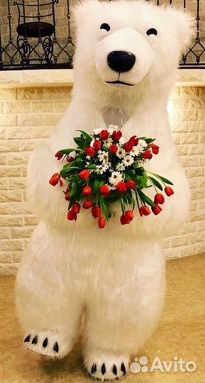 Аниматор белый мишка